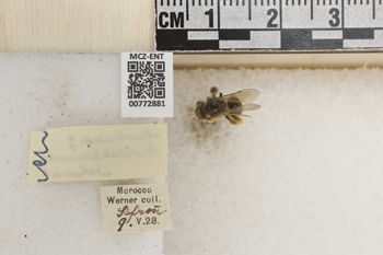 Media type: image;   Entomology 772881 Aspect: Labels